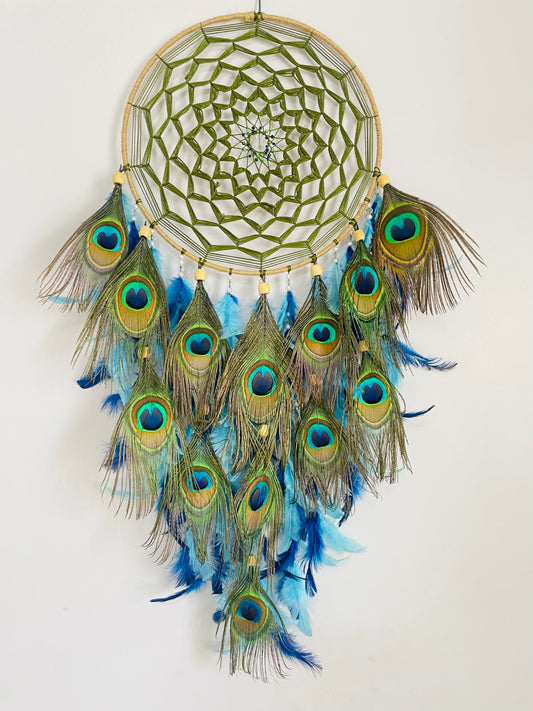 Vibrant Peacock Feather Dreamcatcher